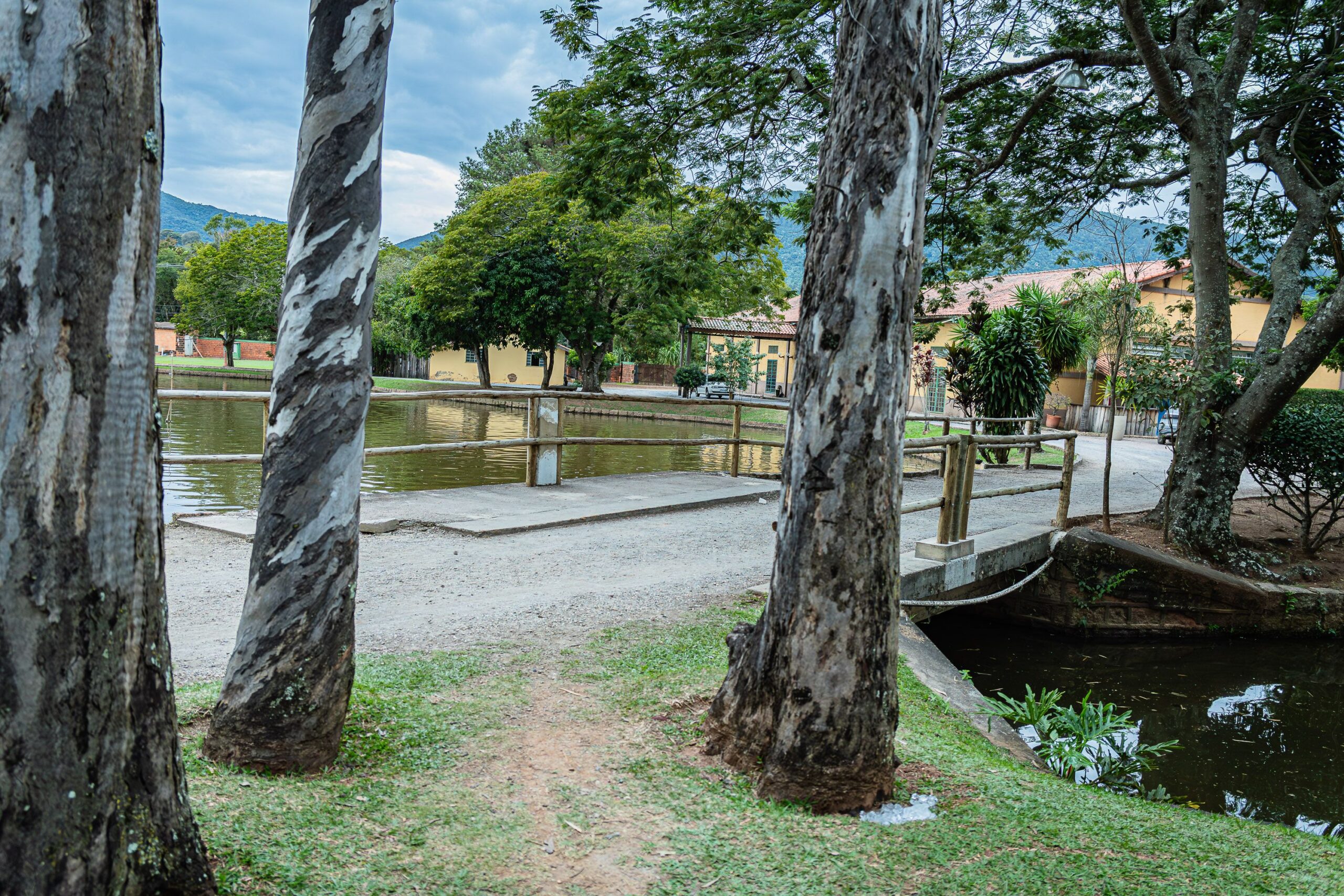 30 Econtro da Família_PRID_IPJ_2026 (1)