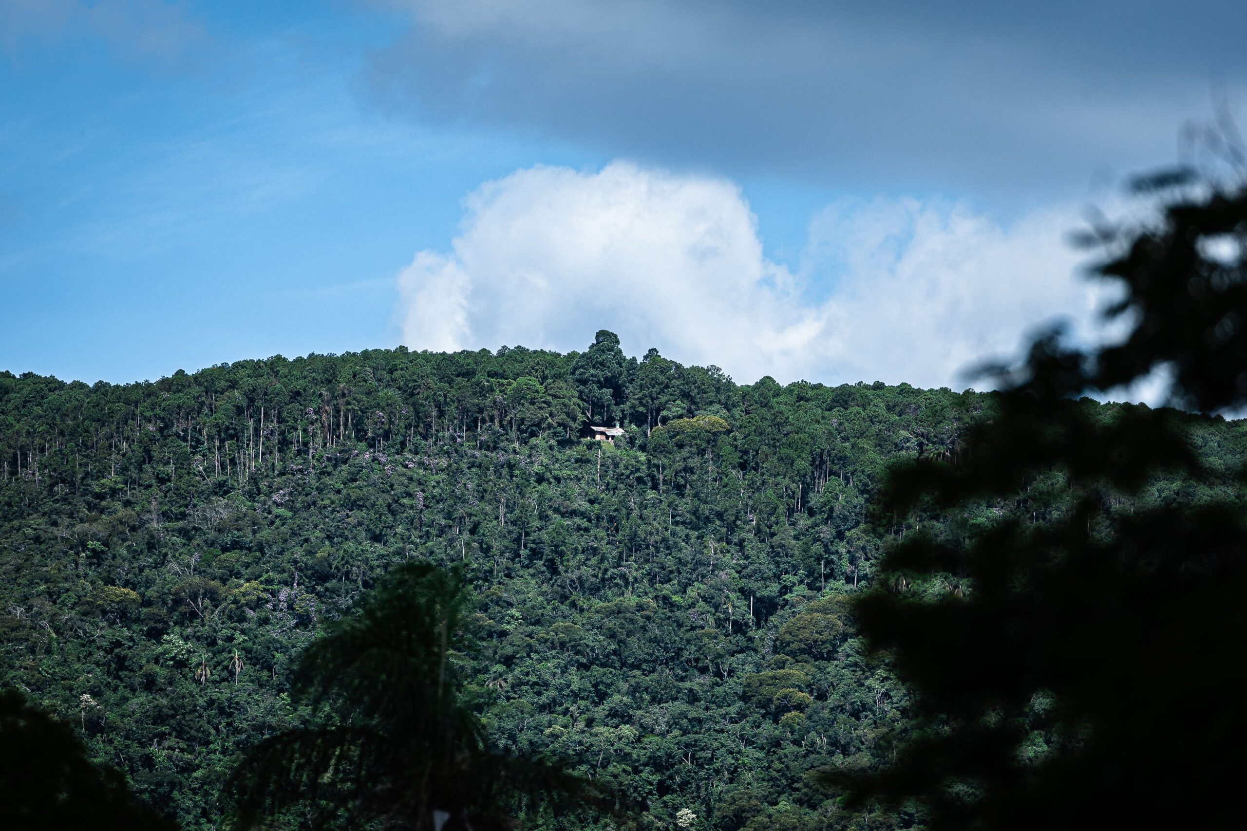 30 Econtro da Família_PRID_IPJ_2026 (15)